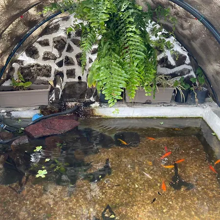 Сasa de vacaciones Vistamar *