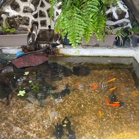 Vistamar Prázdninový dům